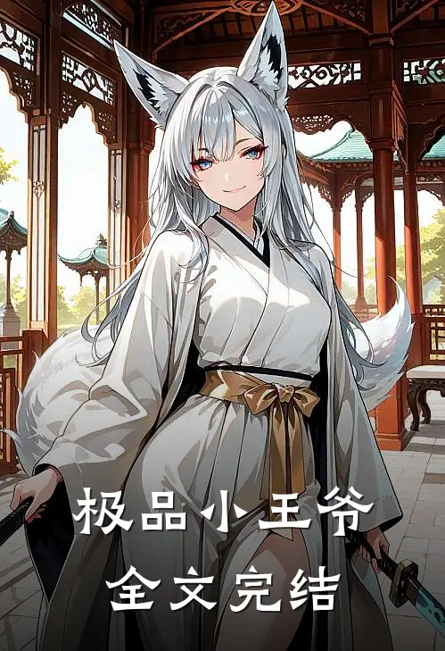 极品小王爷全文完结