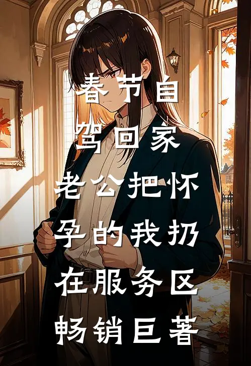 春节自驾回家，老公把怀孕的我扔在服务区畅销巨著