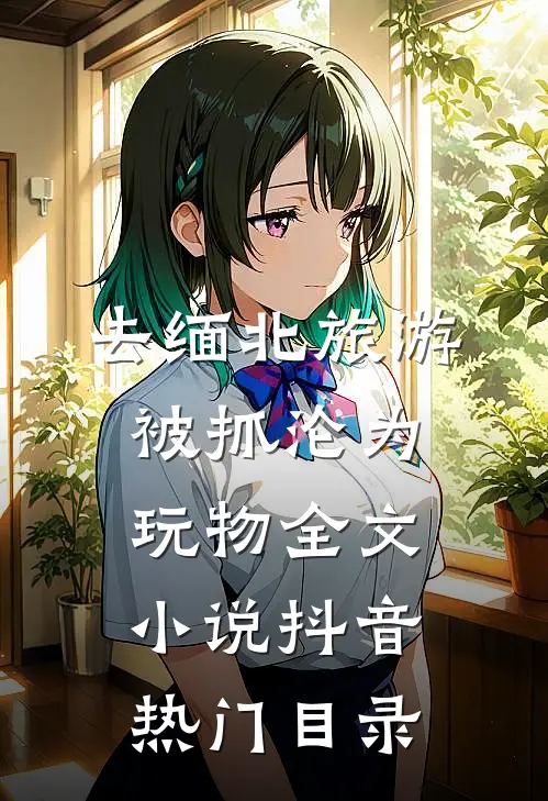 去缅北旅游被抓沦为玩物全文小说抖音热门目录