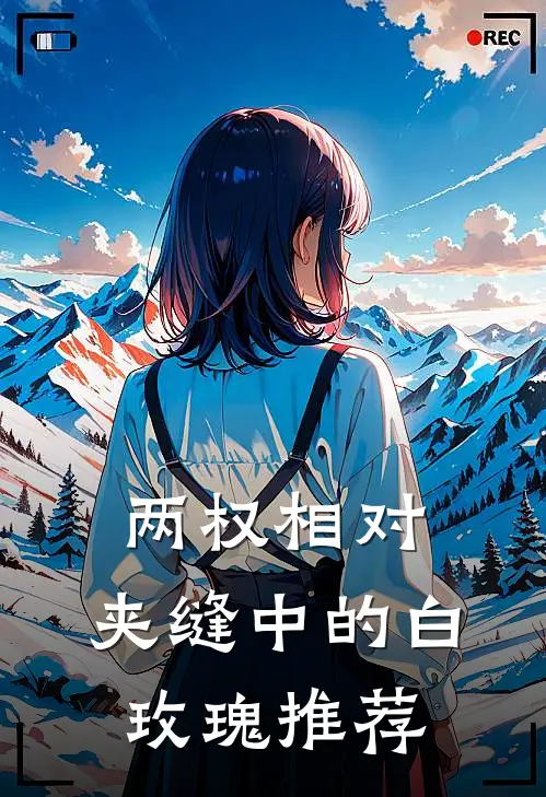 两权相对：夹缝中的白玫瑰推荐