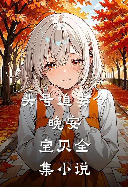 头号追妻令：晚安，宝贝全集小说