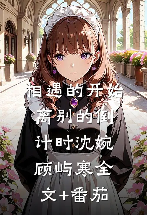 相遇的开始，离别的倒计时沈婉顾屿寒全文+番茄