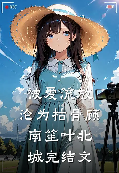 被爱流放，沦为枯骨顾南笙叶北城完结文