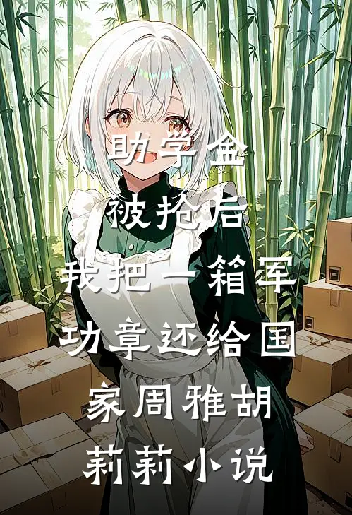 助学金被抢后，我把一箱军功章还给国家周雅胡莉莉小说