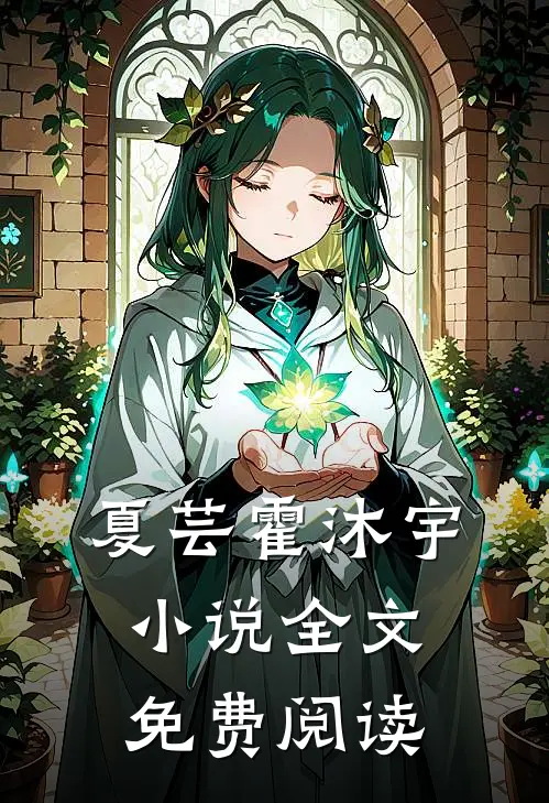 夏芸霍沐宇小说全文免费阅读