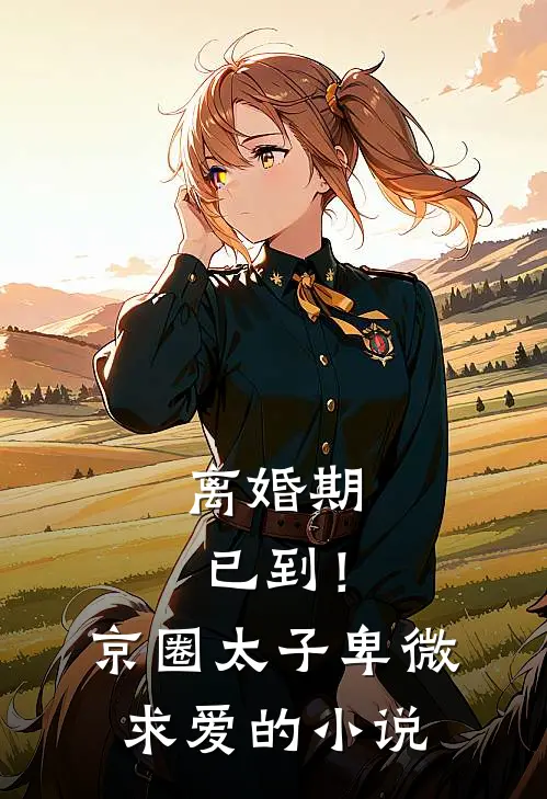 离婚期已到！京圈太子卑微求爱的小说