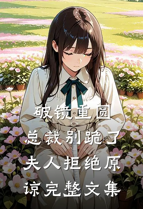 破镜重圆：总裁别跪了，夫人拒绝原谅完整文集