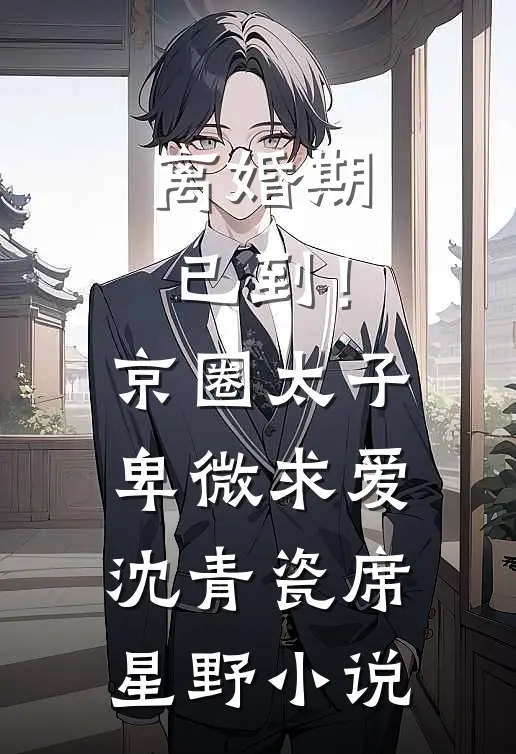 离婚期已到！京圈太子卑微求爱沈青瓷席星野小说