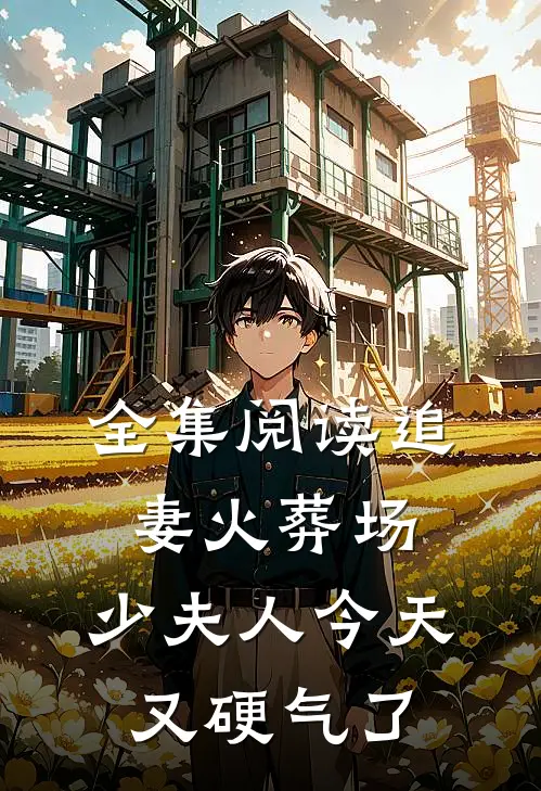 全集阅读追妻火葬场：少夫人今天又硬气了