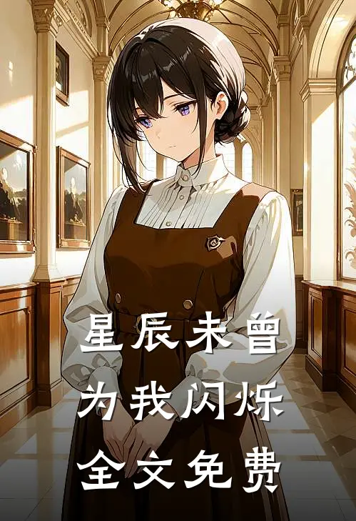 星辰未曾为我闪烁全文免费