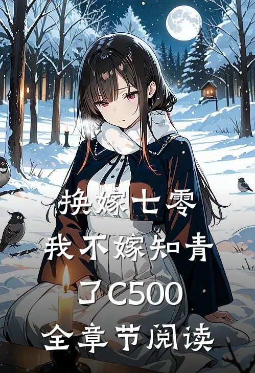 换嫁七零，我不嫁知青了C500全章节阅读
