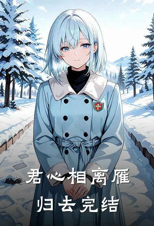 君心相离雁归去完结