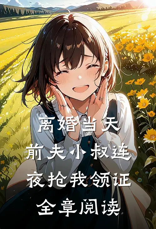离婚当天，前夫小叔连夜抢我领证全章阅读