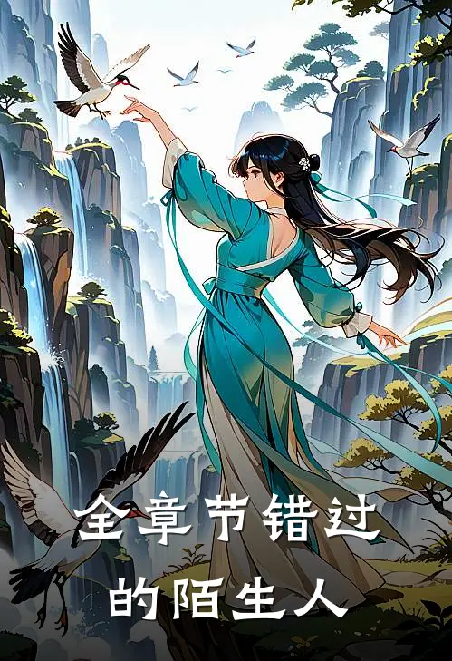 全章节错过的陌生人