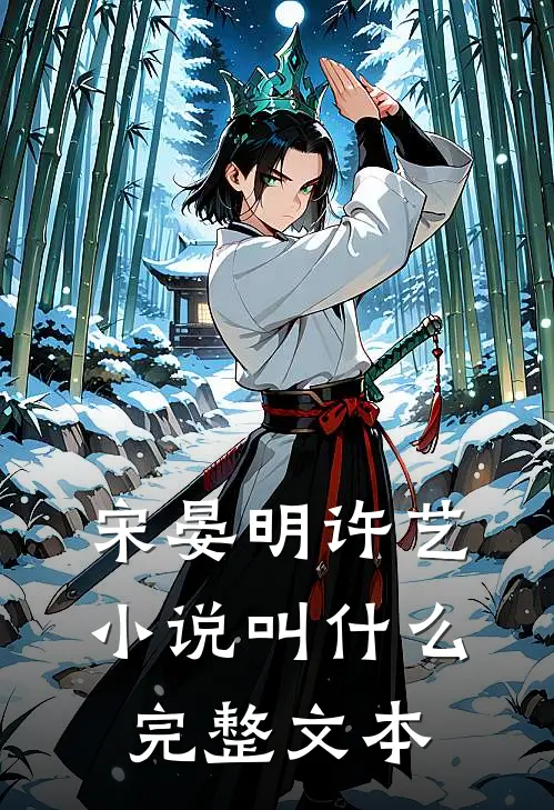 宋晏明许艺小说叫什么完整文本