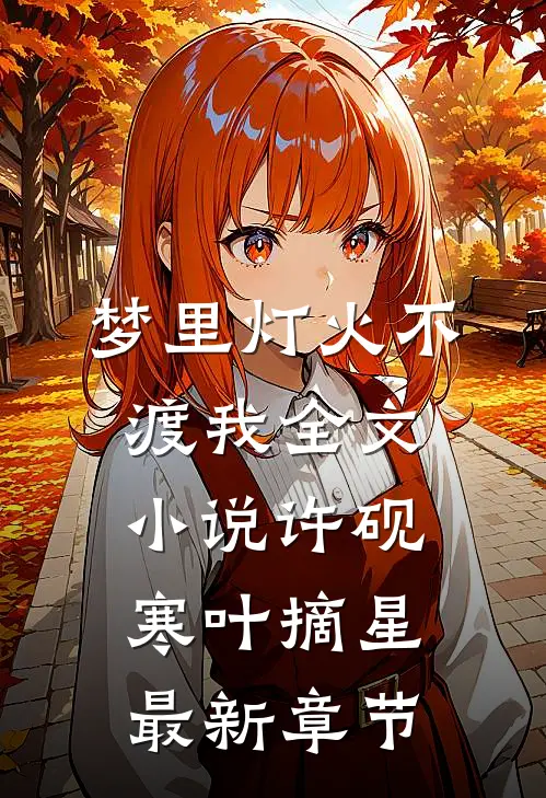梦里灯火不渡我全文小说许砚寒叶摘星最新章节
