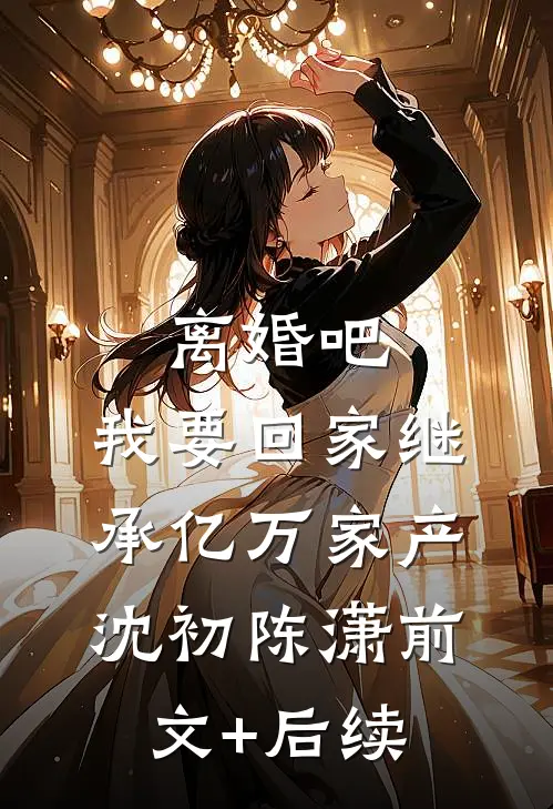 离婚吧，我要回家继承亿万家产沈初陈潇前文+后续