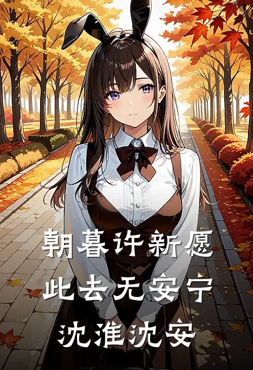 朝暮许新愿，此去无安宁沈淮沈安