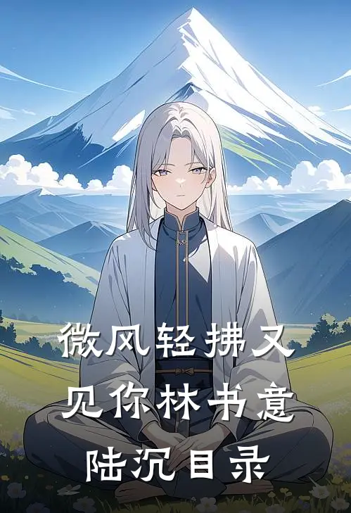 微风轻拂又见你林书意陆沉目录