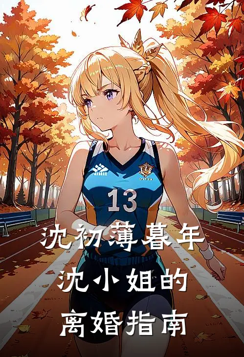 沈初薄暮年沈小姐的离婚指南