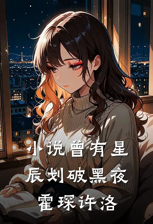 小说曾有星辰划破黑夜(霍琛许洛)