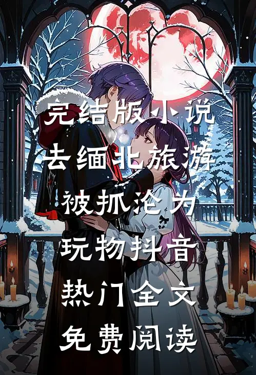完结版小说去缅北旅游被抓沦为玩物抖音热门全文免费阅读