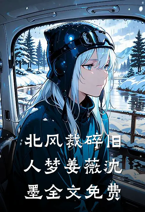 北风裁碎旧人梦姜薇沈墨全文免费