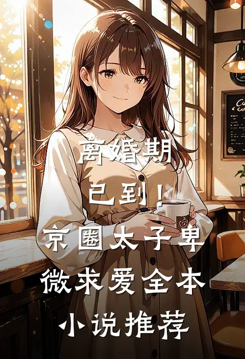 离婚期已到！京圈太子卑微求爱全本小说推荐
