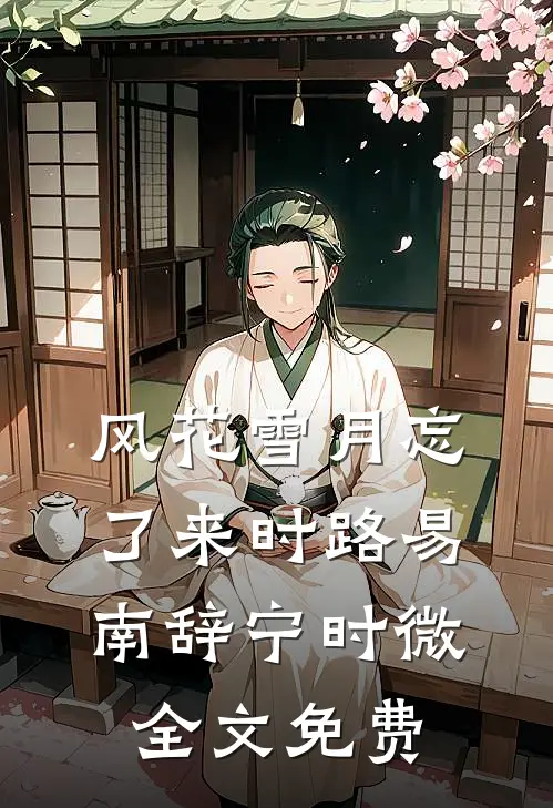 风花雪月忘了来时路易南辞宁时微全文免费