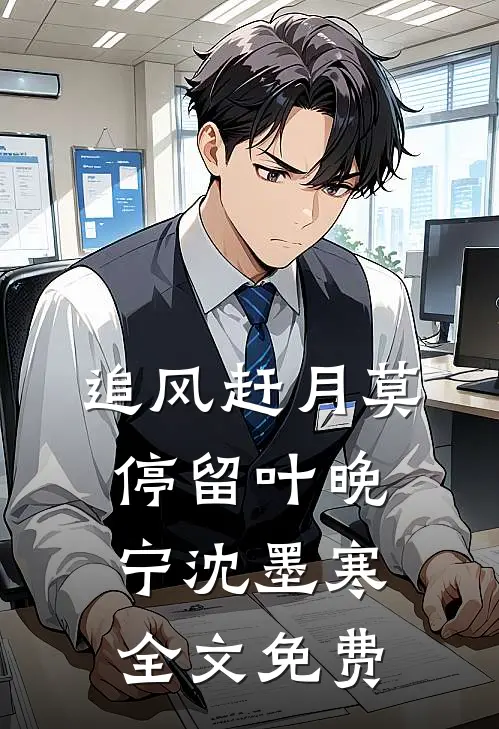 追风赶月莫停留叶晚宁沈墨寒全文免费