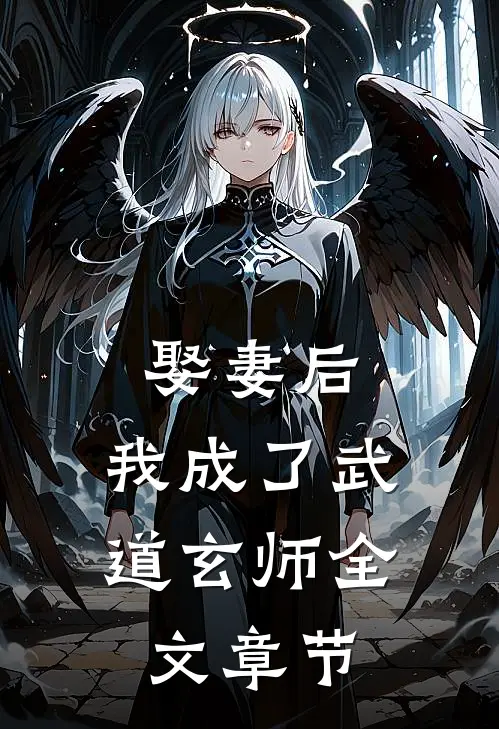 娶妻后，我成了武道玄师全文章节