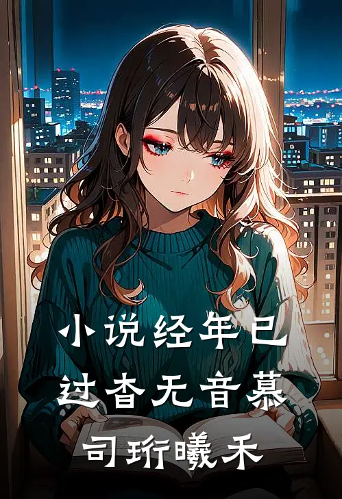 小说经年已过杳无音(慕司珩曦禾)