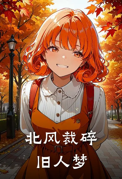 北风裁碎旧人梦