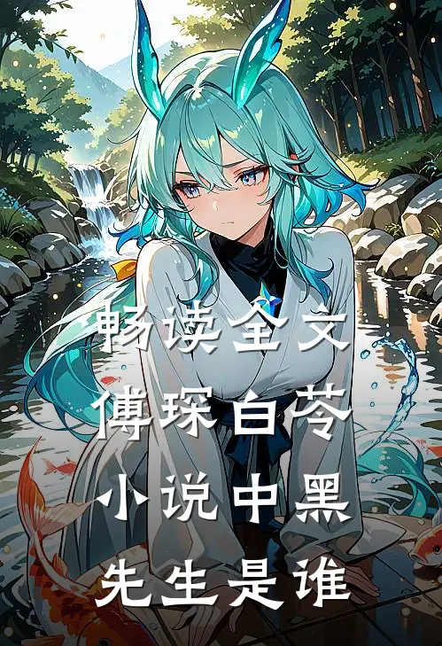 畅读全文傅琛白苓小说中黑先生是谁