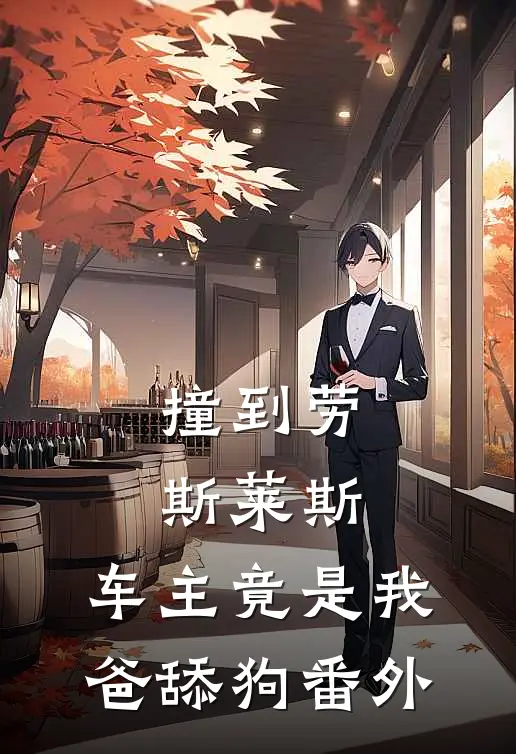 撞到劳斯莱斯，车主竟是我爸舔狗番外