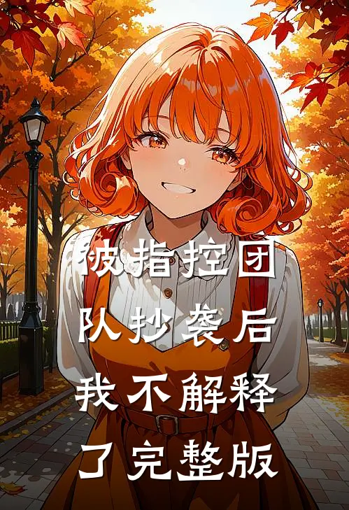 被指控团队抄袭后，我不解释了完整版