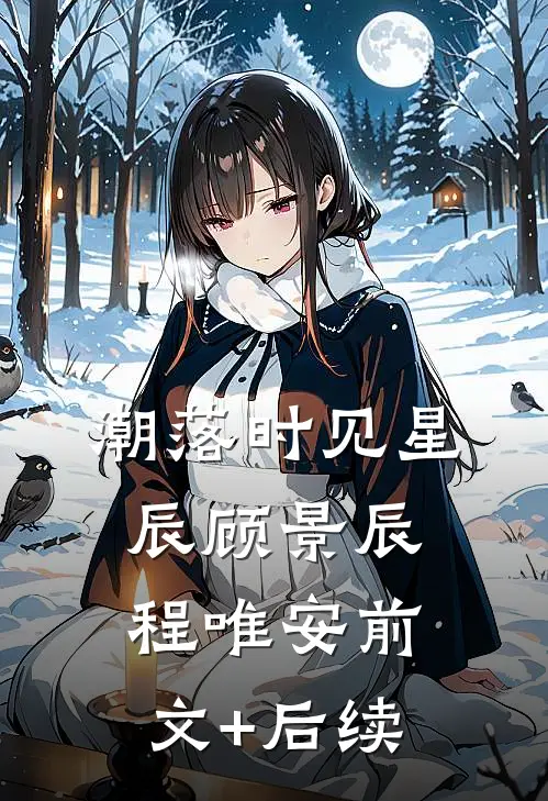 潮落时见星辰顾景辰程唯安前文+后续