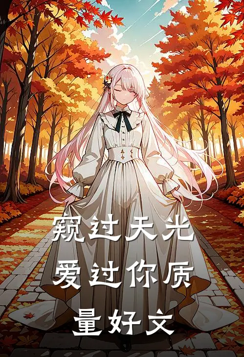 窥过天光爱过你质量好文