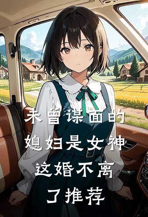未曾谋面的媳妇是女神,这婚不离了推荐