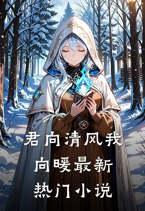 君向清风我向暖最新热门小说