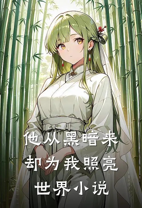 他从黑暗来，却为我照亮世界小说
