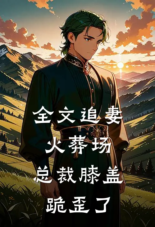 全文追妻火葬场：总裁膝盖跪歪了