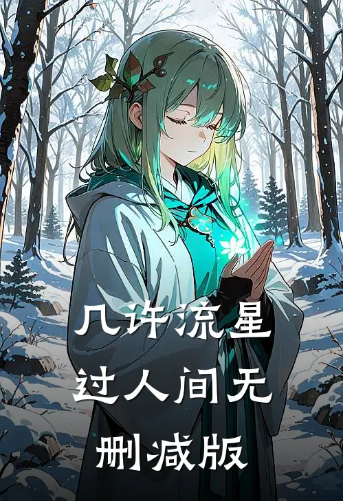 几许流星过人间无删减版