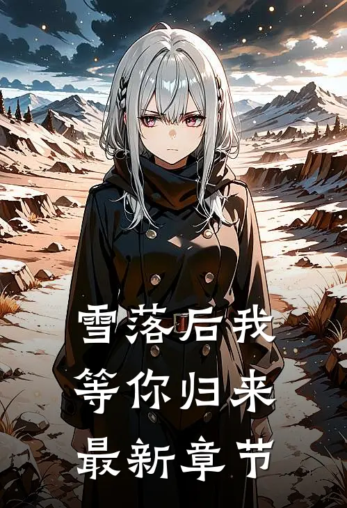 雪落后我等你归来最新章节