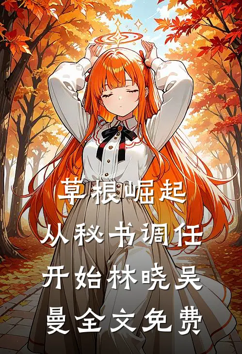 草根崛起：从秘书调任开始林晓吴曼全文免费