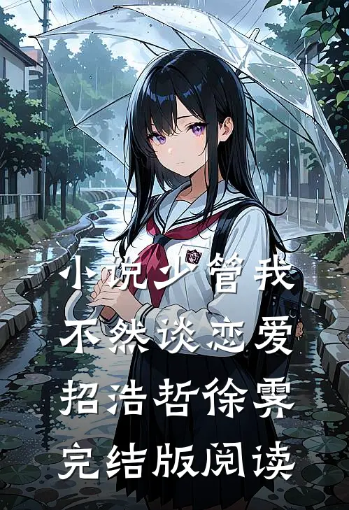小说少管我，不然谈恋爱招浩哲徐霁完结版阅读