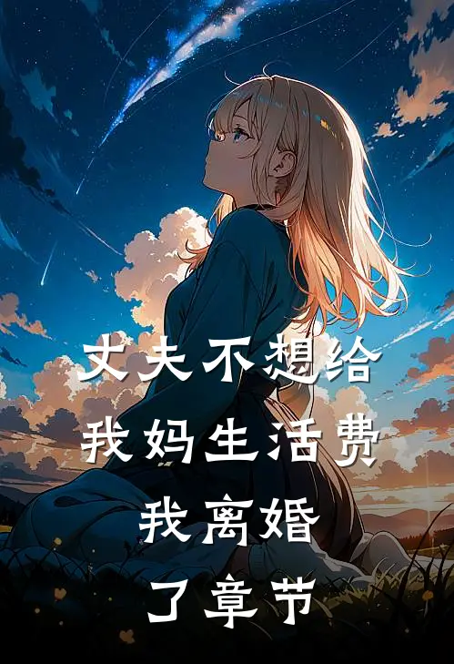 丈夫不想给我妈生活费，我离婚了章节