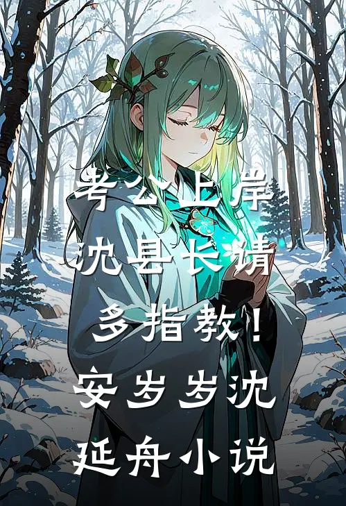 考公上岸：沈县长请多指教！安岁岁沈延舟小说