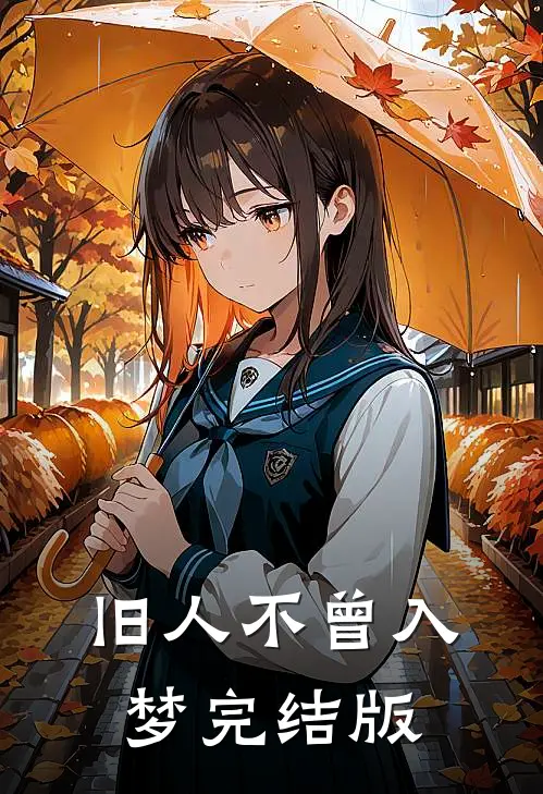 旧人不曾入梦完结版