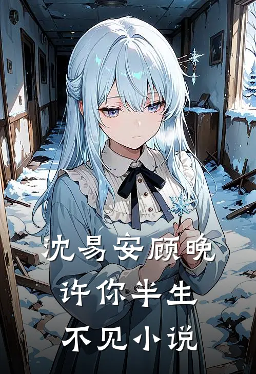 沈易安顾晚许你半生不见小说